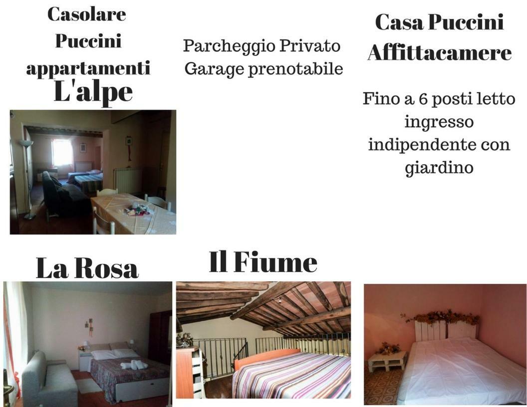 Casolare Puccini Apartment Bagni di Lucca Exterior photo